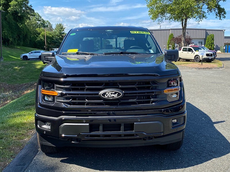 2025 Ford F-150 XLT photo 2