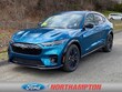  Ford Mustang Mach-E