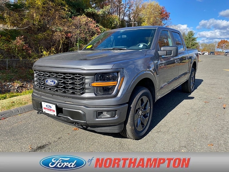2025 Ford F-150 STX's photo