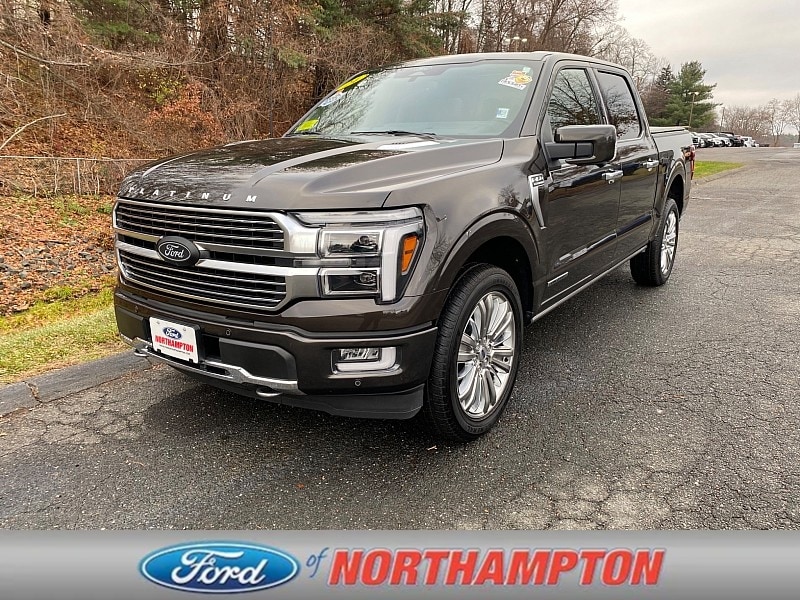 2024 Ford F-150 Platinum's photo