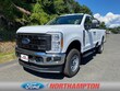 Ford Super Duty F-250 4WD