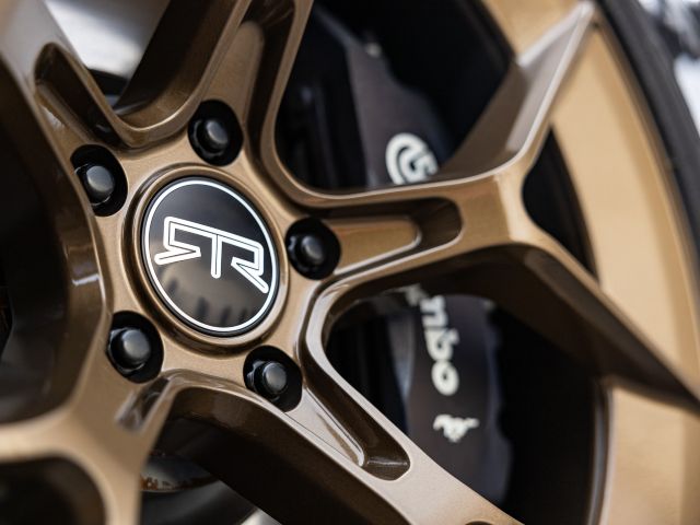Bronze RTR Wheel with Brembo Brakes
