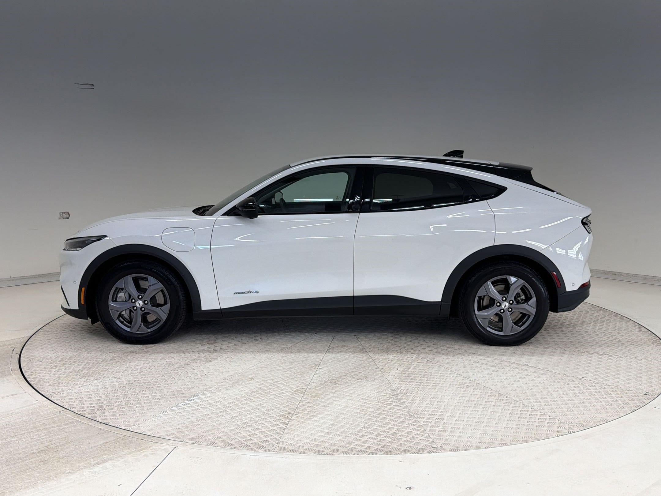 Used 2023 Ford Mustang Mach-E Select AWD with VIN 3FMTK1SS3PMA17177 for sale in Richardson, TX