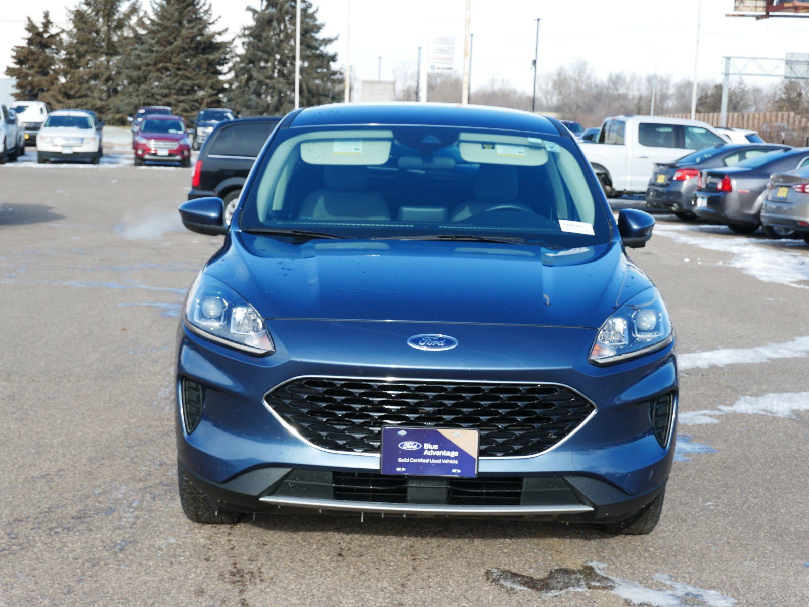 Used 2020 Ford Escape SE with VIN 1FMCU9G65LUB85882 for sale in Coon Rapids, Minnesota