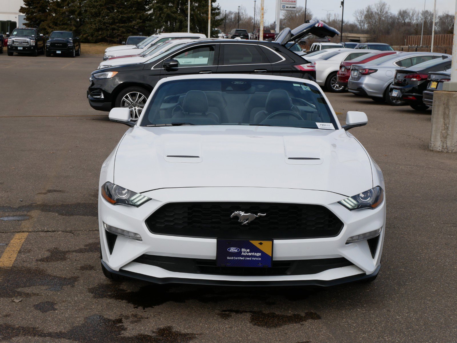 Certified 2023 Ford Mustang EcoBoost Premium with VIN 1FATP8UH4P5101665 for sale in Coon Rapids, Minnesota