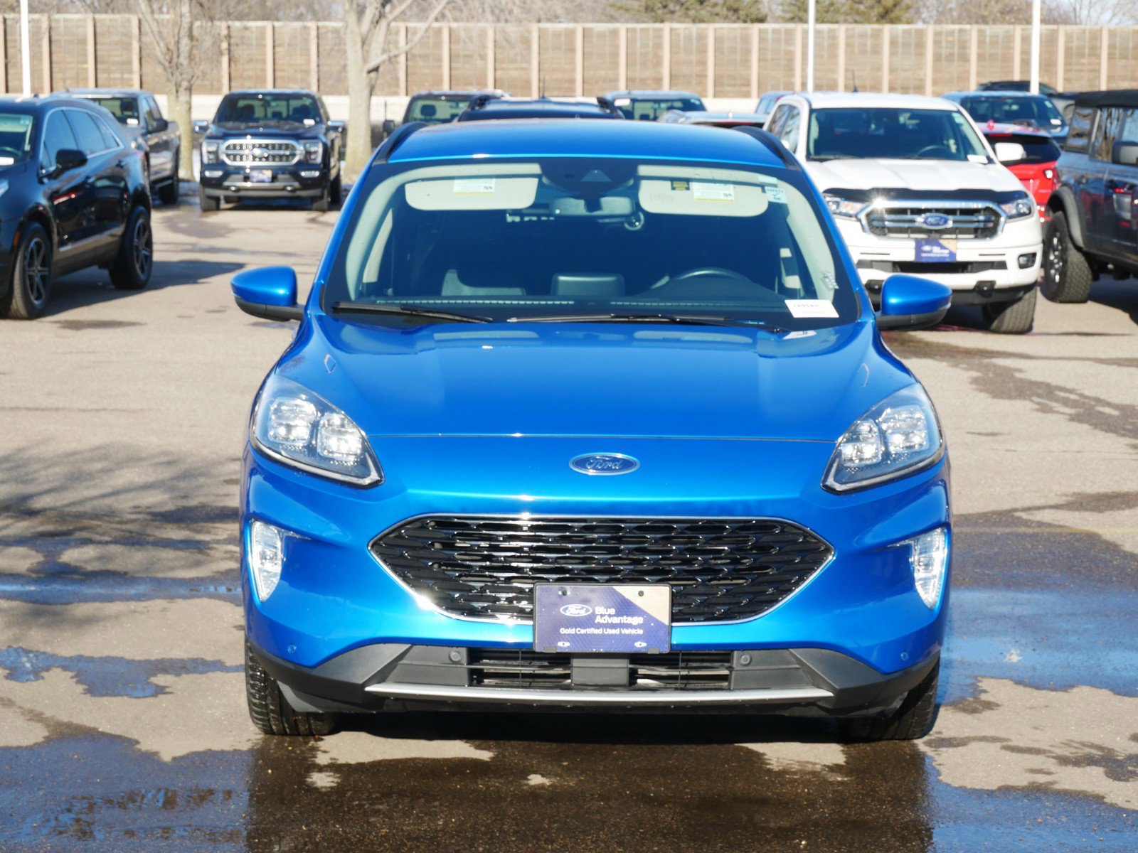 Certified 2020 Ford Escape Titanium with VIN 1FMCU9J94LUB08195 for sale in Coon Rapids, Minnesota