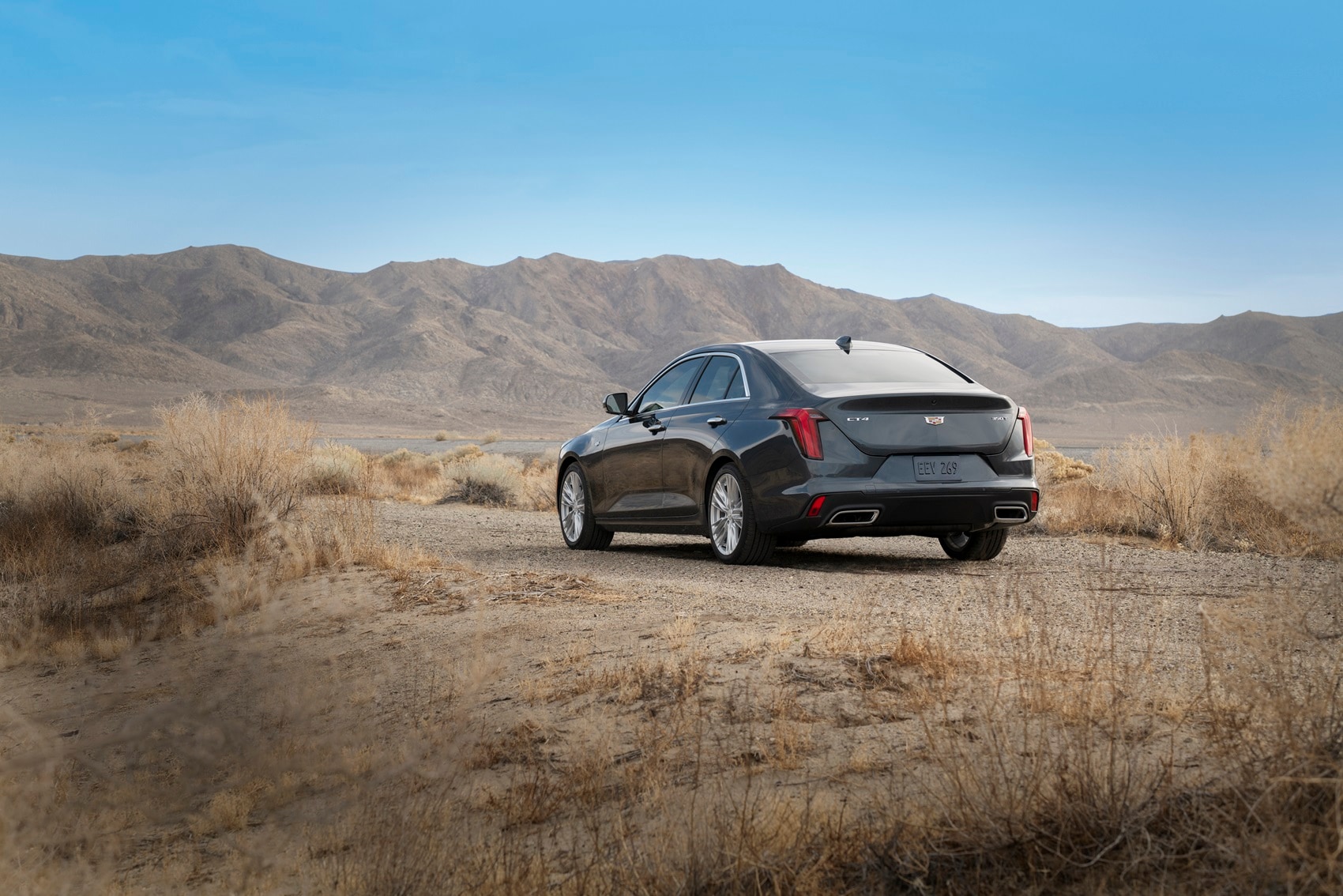 Cadillac Dealer Near Valle De Los Caballos