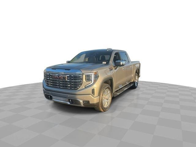 2025 Gmc Sierra 1500 Denali photo 3
