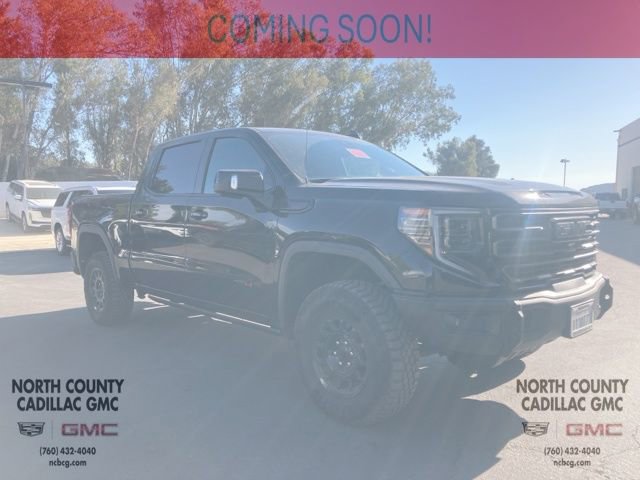 2024 Gmc Sierra 1500 AT4X photo 2