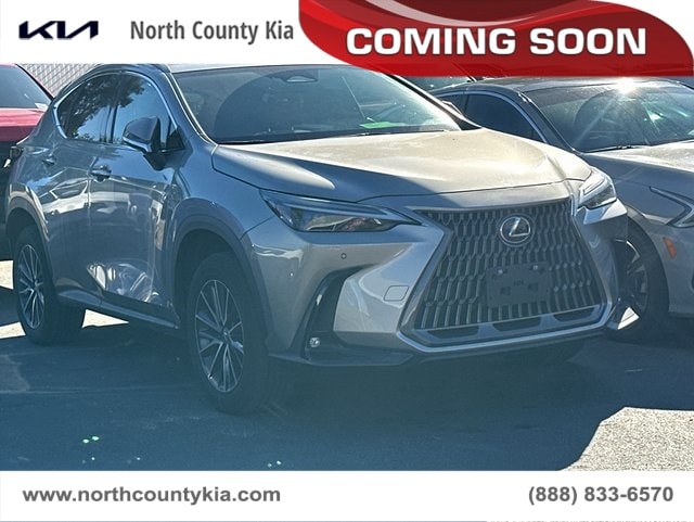 2024 Lexus NX 250's photo