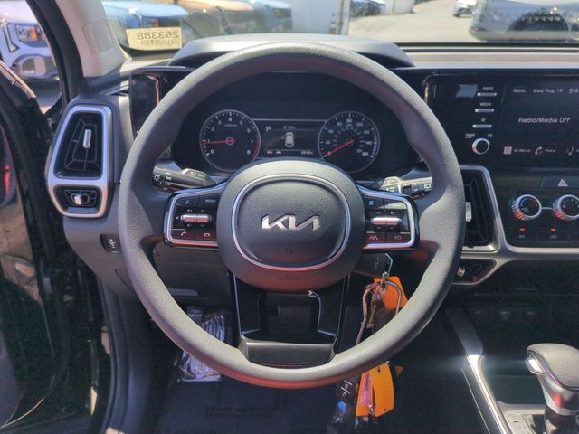 Photo 17