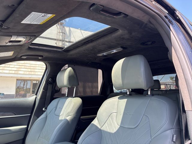 2024 Kia Telluride SX-Prestige X-Pro photo 6