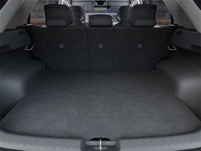 Niro EV Wind