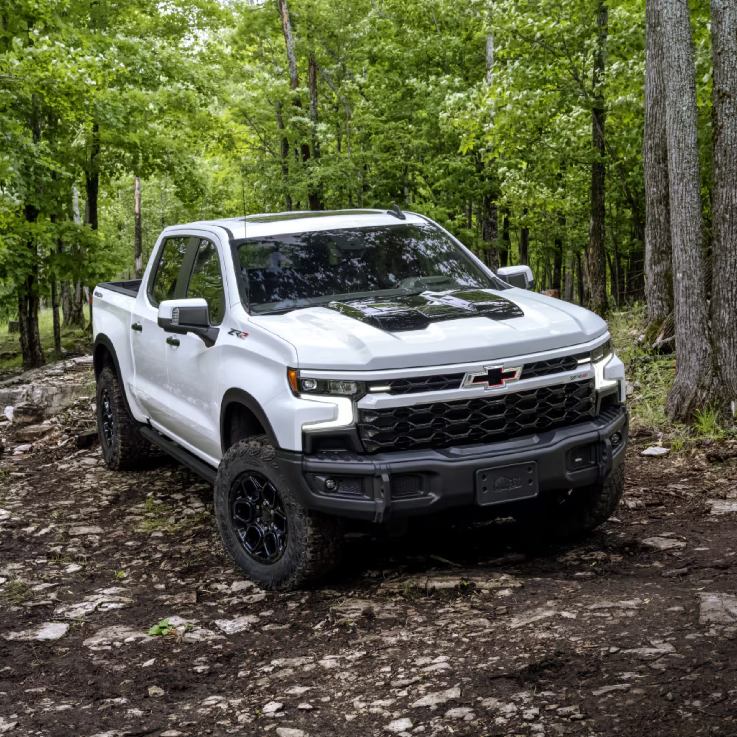 2025 Chevy Silverado 1500 at Northcutt Chevrolet