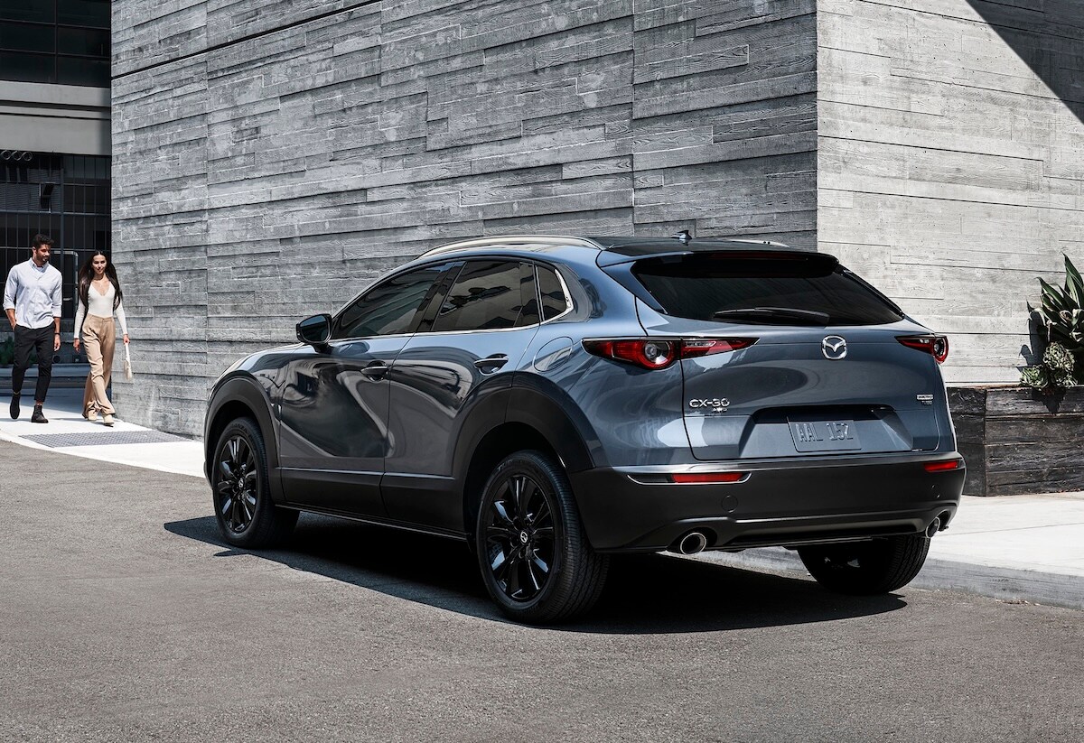 back cx 30