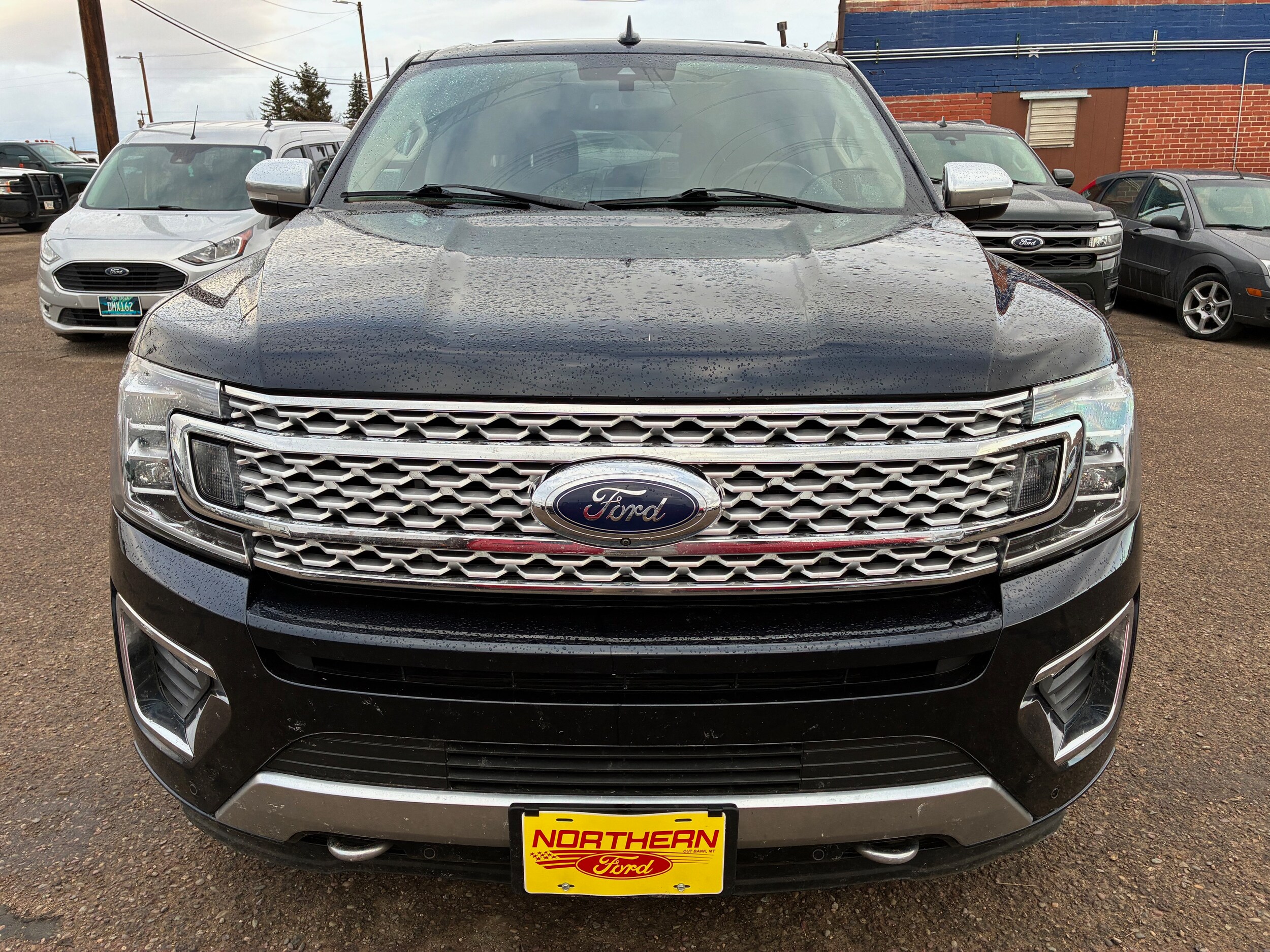 2021 Ford Expedition MAX Platinum photo 2