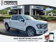 Used 2025 Ford F-150 Platinum Crew Cab
