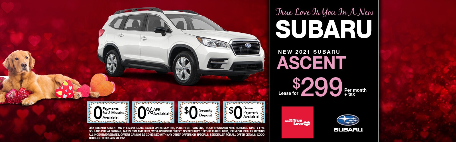 North Fort Lauderdale Subaru New &amp; Used Car Dealer in