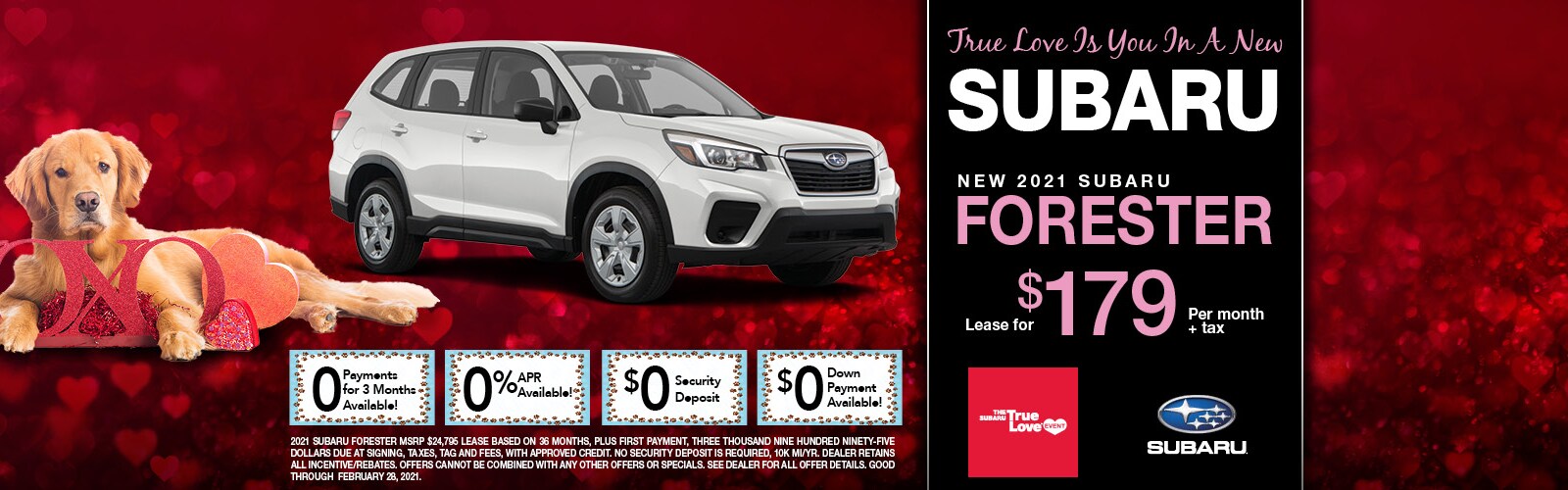 North Fort Lauderdale Subaru New &amp; Used Car Dealer in