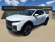  Hyundai Santa Cruz
