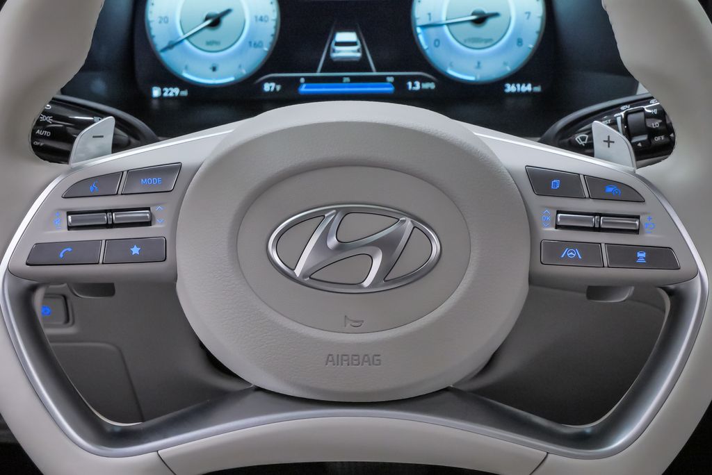2024 Hyundai Palisade Limited - Photo 22