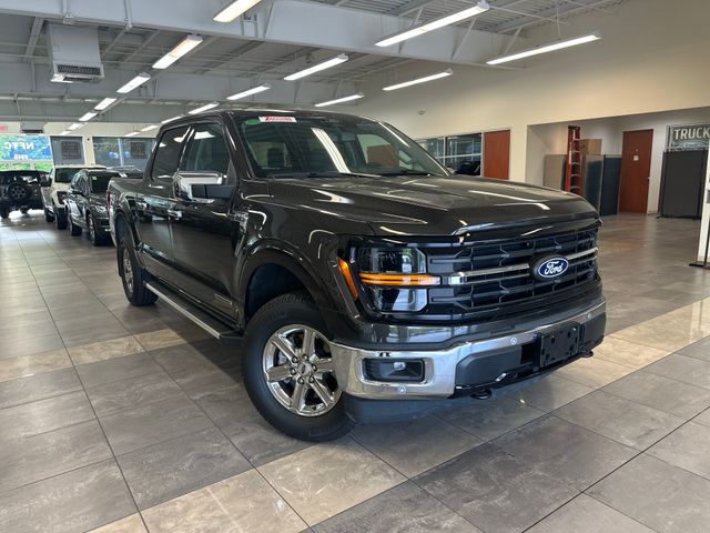 2024 Ford F-150 XLT 4x4 SuperCrew 5-1/2 Box's photo