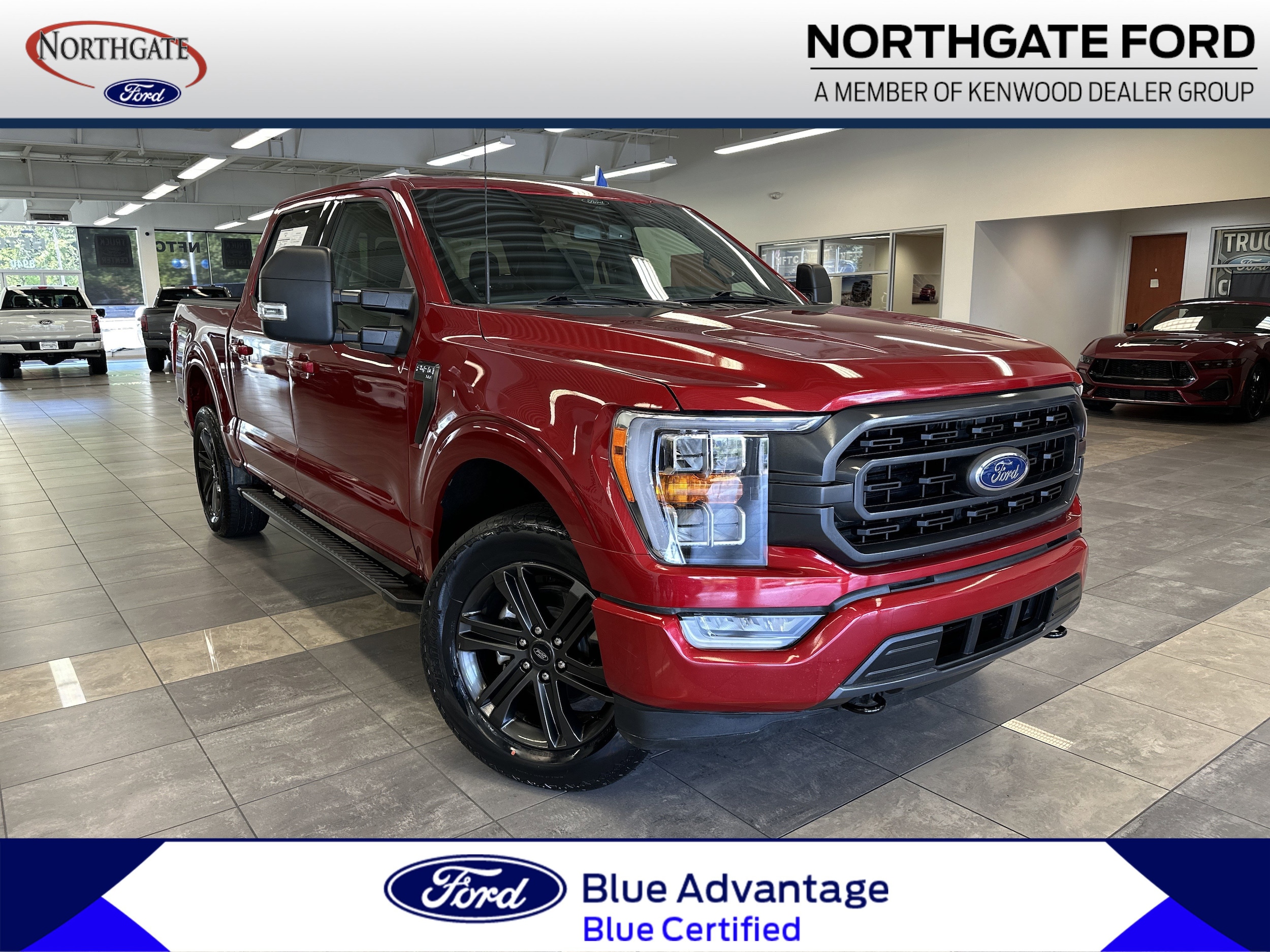 2022 Ford F-150 Truck SuperCrew Cab  2022 Ford F-150 Truck SuperCrew Cab