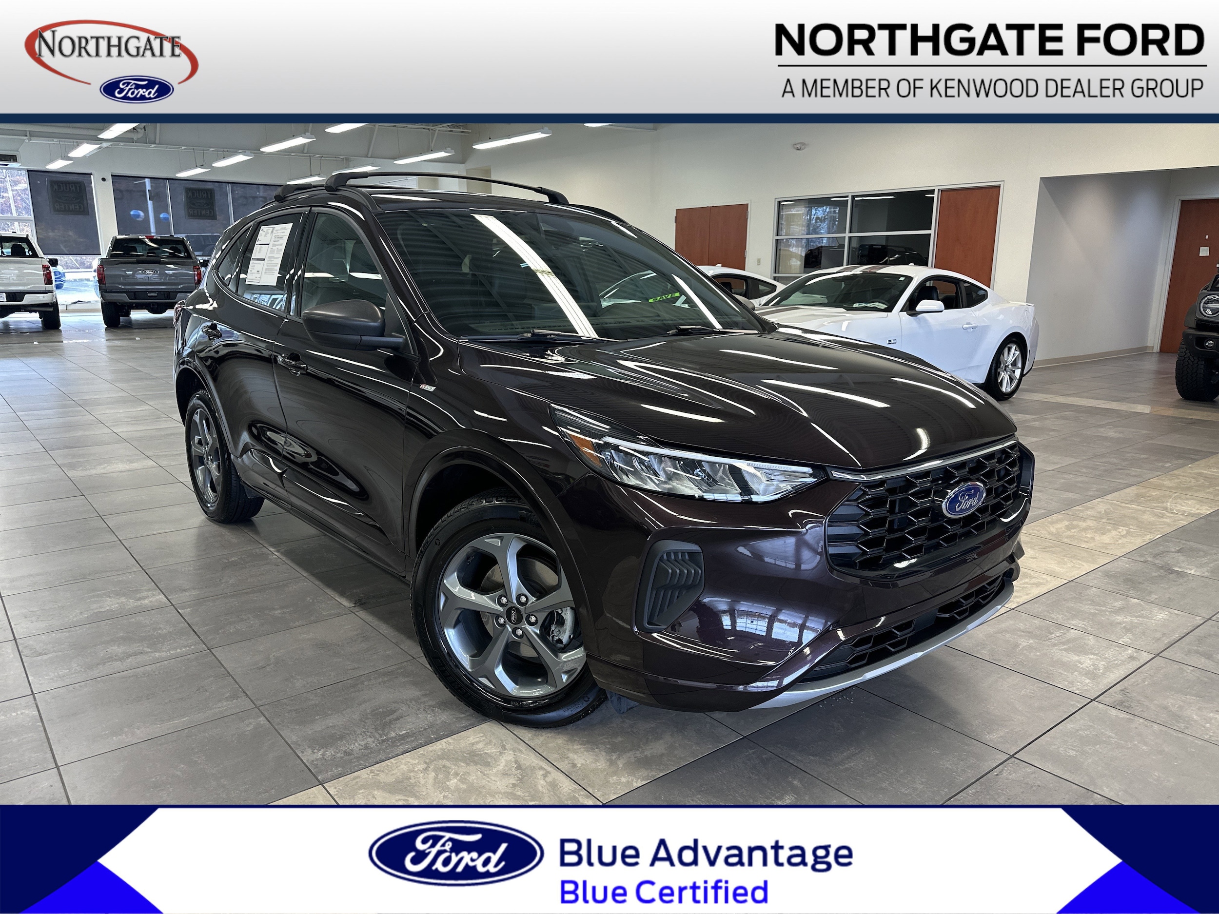 2023 Ford Escape ST-Line's photo