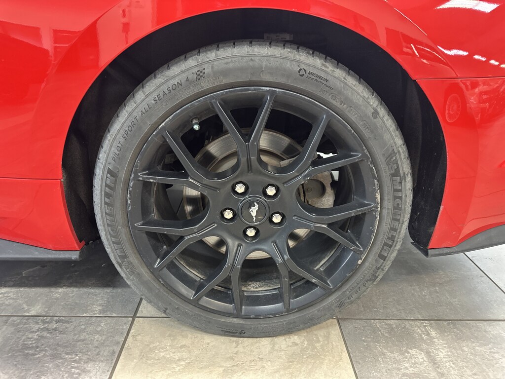 Used 2019 Ford Mustang EcoBoost Coupe