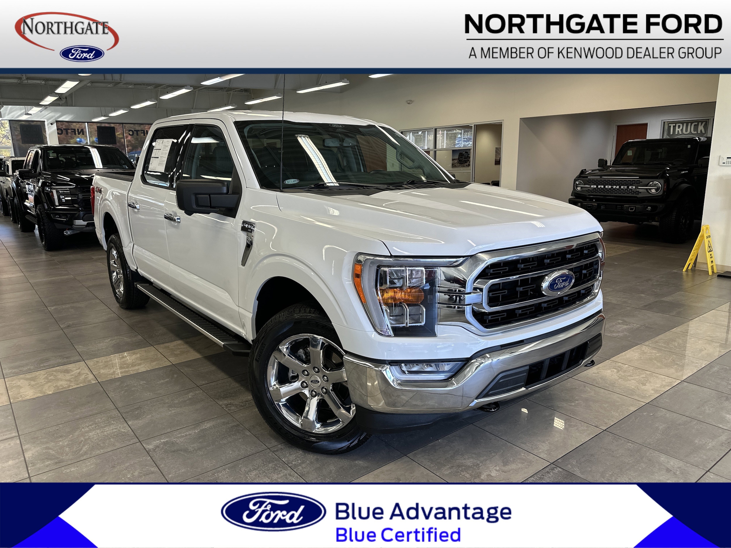 2022 Ford F-150 XLT's photo