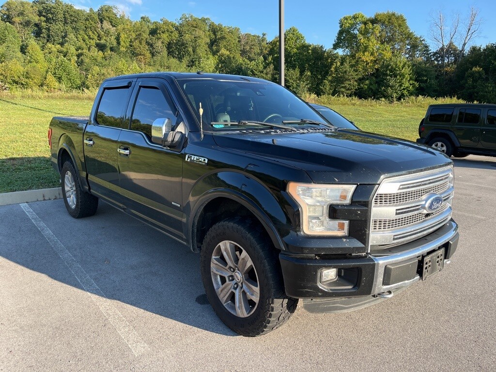 2016 Ford F-150 Platinum photo 2