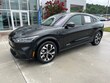  Ford Mustang Mach-E