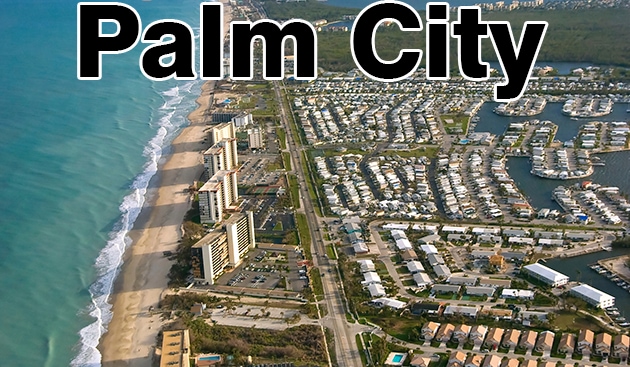 Palm City Hyundai
