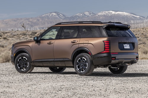 Hyundai Palisade in Palm Beach Rear