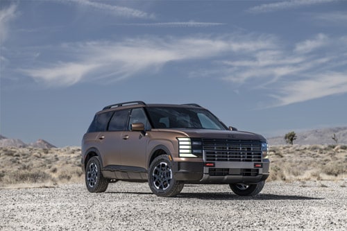 Hyundai Palisade in Palm Beach Front