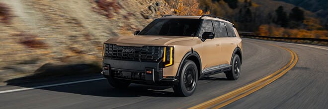 Telluride vs Palisade