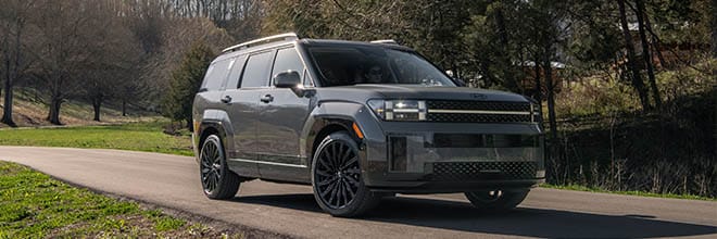 Hyundai Santa Fe vs Palisade width=