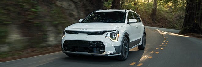 Niro EV vs Kona Electric