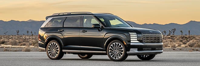 Hyundai Palisade vs Ioniq 9