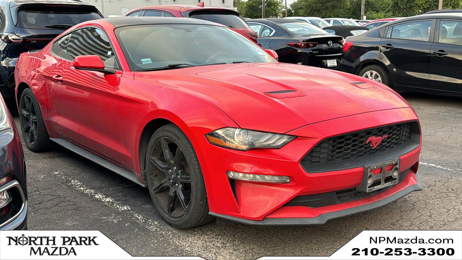 2019 Ford Mustang EcoBoost Coupe's photo