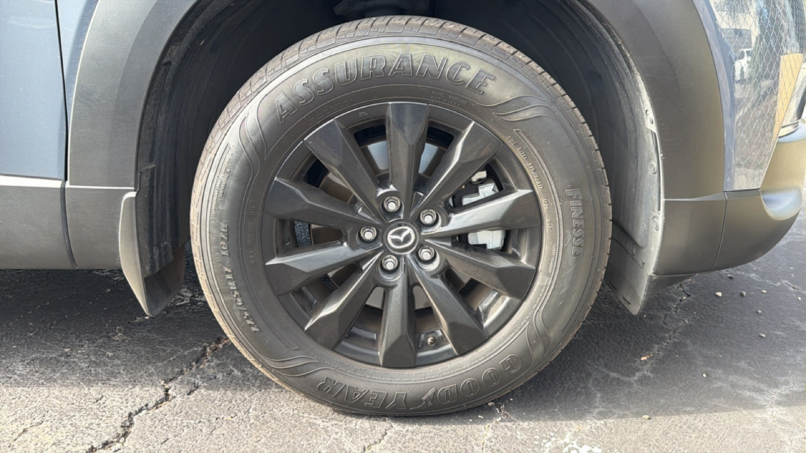 Photo 14