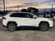 2019 Toyota RAV4 XLE Premium SUV