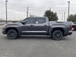 2025 Toyota Tundra i-FORCE MAX Platinum Truck CrewMax