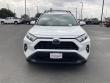 2025 Toyota RAV4 XLE Premium SUV