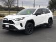 2025 Toyota RAV4 LE SUV