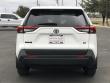 2025 Toyota RAV4 LE SUV