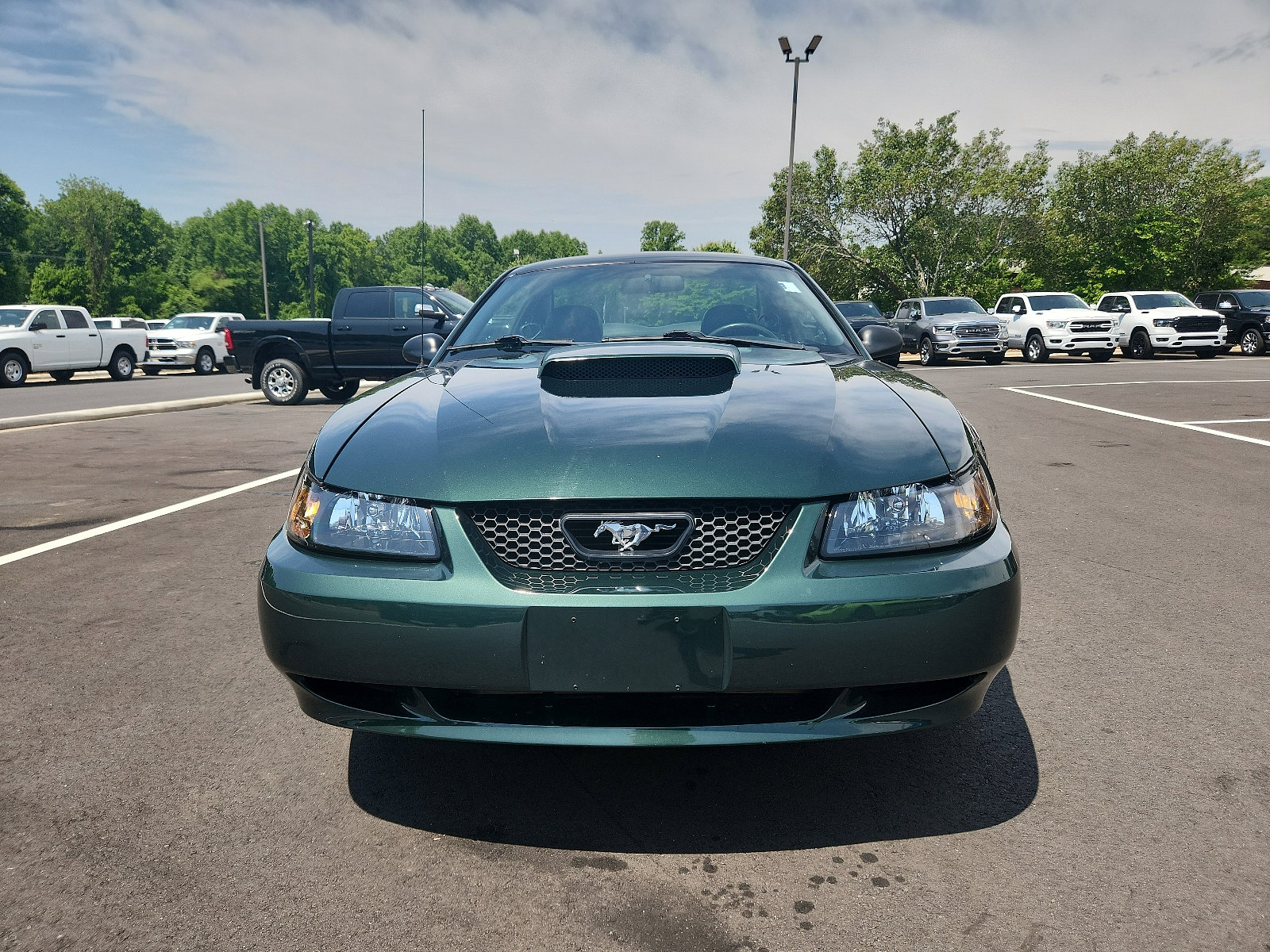 Used 2001 Ford Mustang GT Bullitt with VIN 1FAFP42X11F212594 for sale in Winston-salem, NC