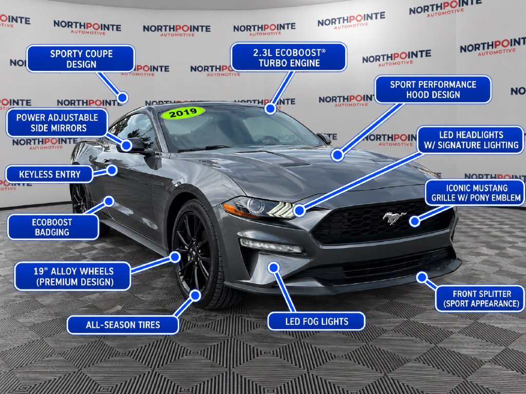2019 Ford Mustang