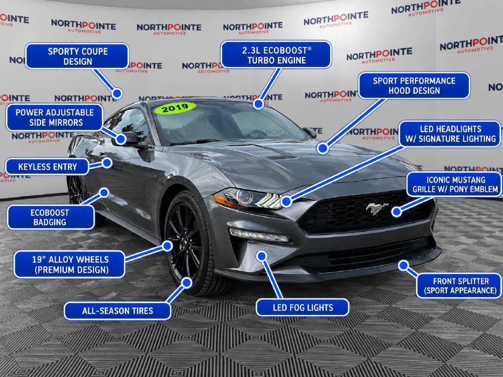 2019 Ford Mustang EcoBoost