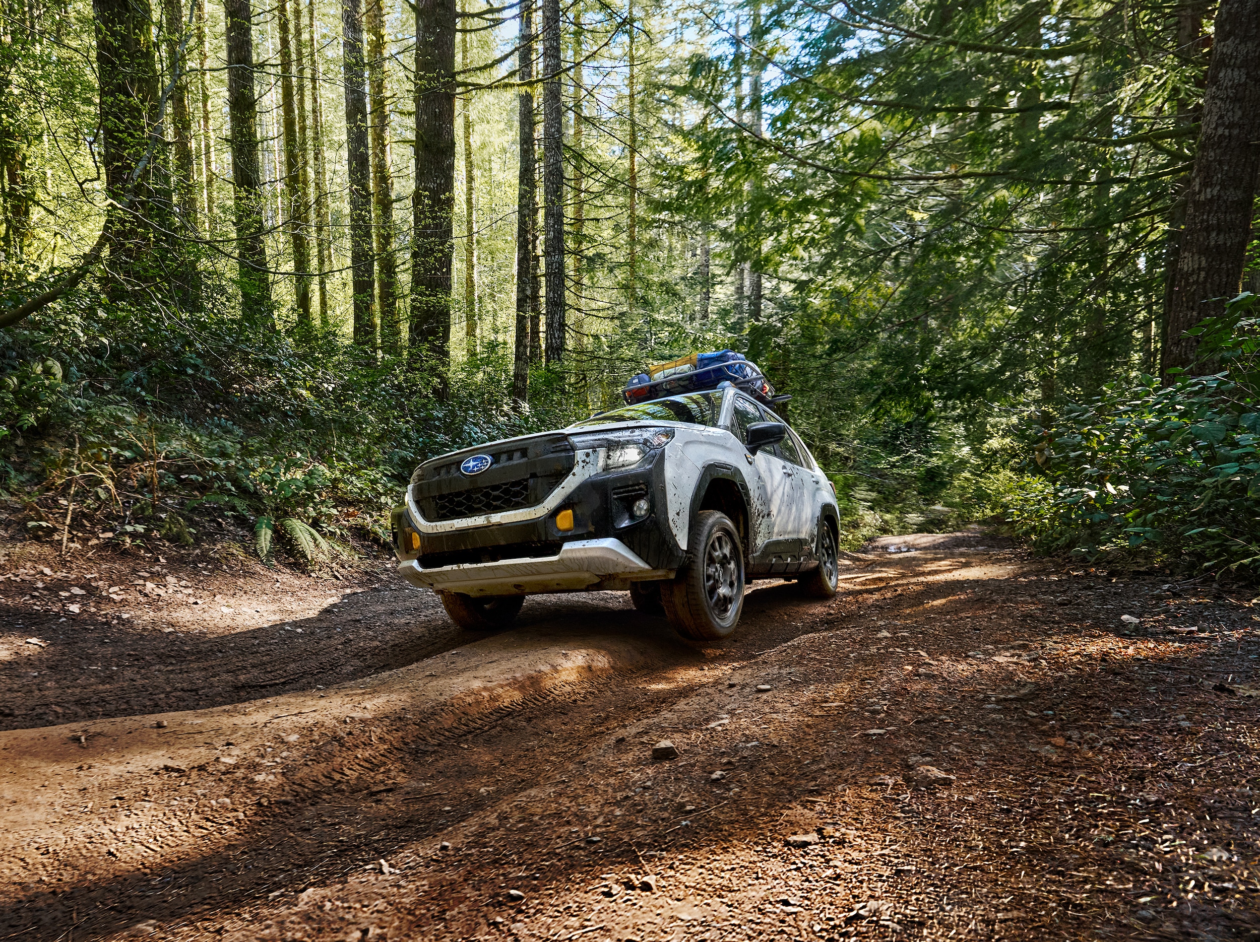 Subaru Forester Wilderness driving in deep snow